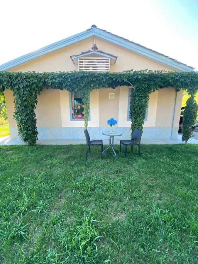 Cascina Serra Eco-House Beb Muzzano 外观 照片